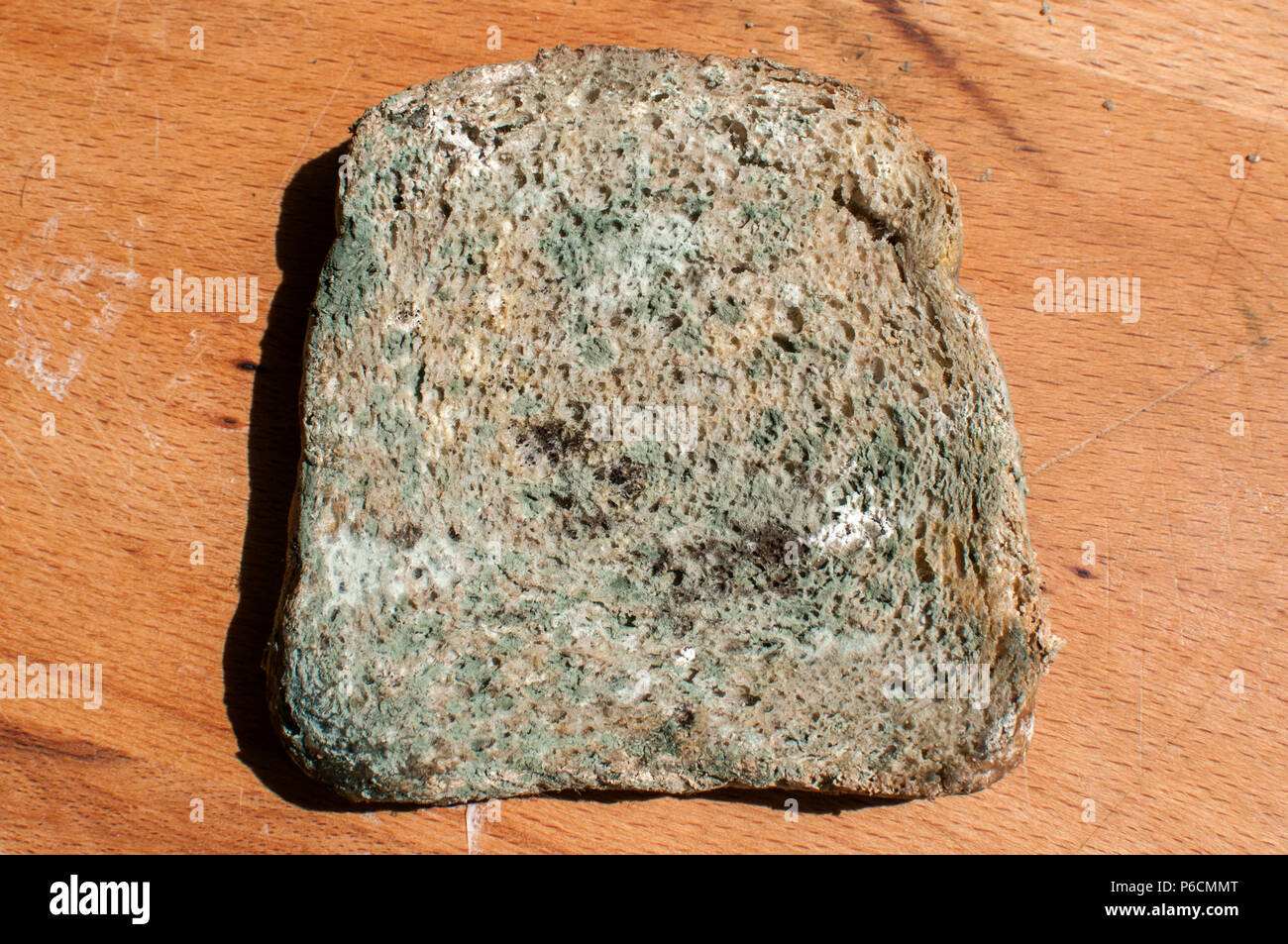 Moldy slice of whole-grain bread closeup on wooden board background Stock Photo