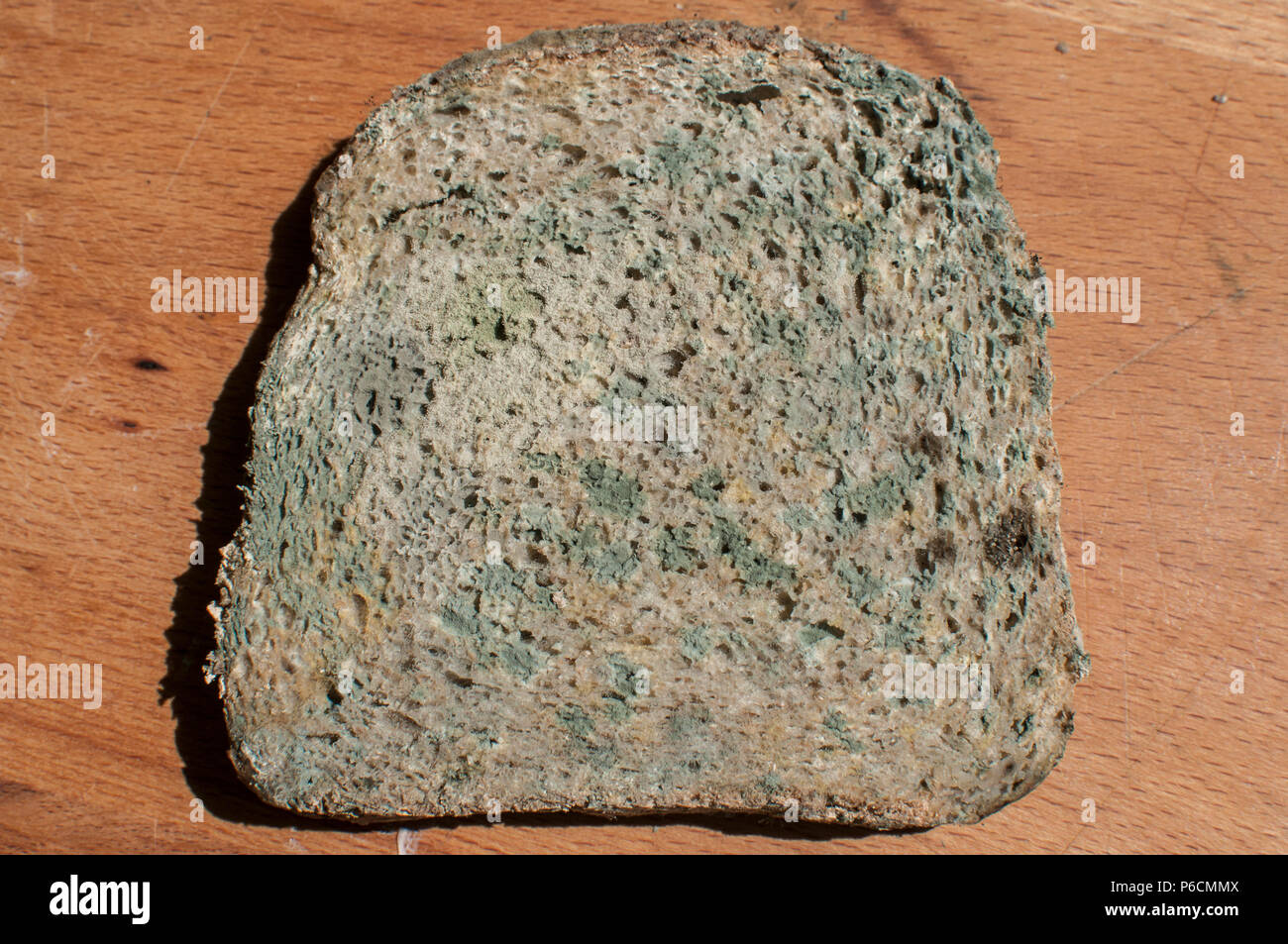 Moldy slices of whole-grain bread closeup on wooden board background Stock Photo