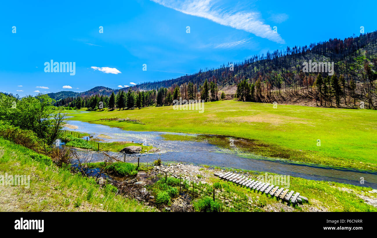 Lush grasslands and Farmland along Highway 5A scenic route between the