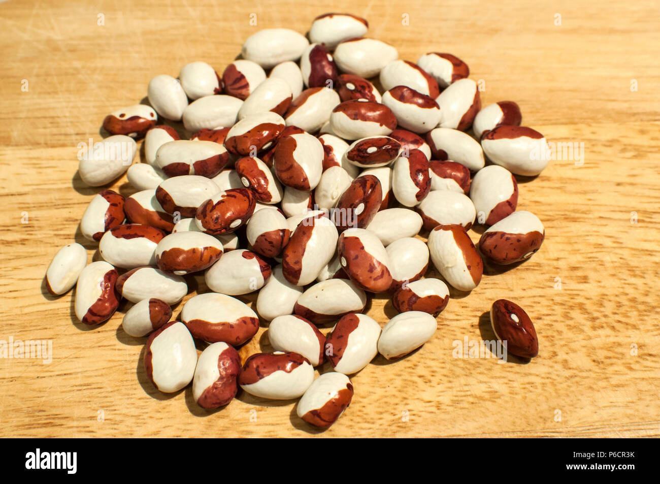 A pile of painted pony italian borlotti cranberry beans closeup on