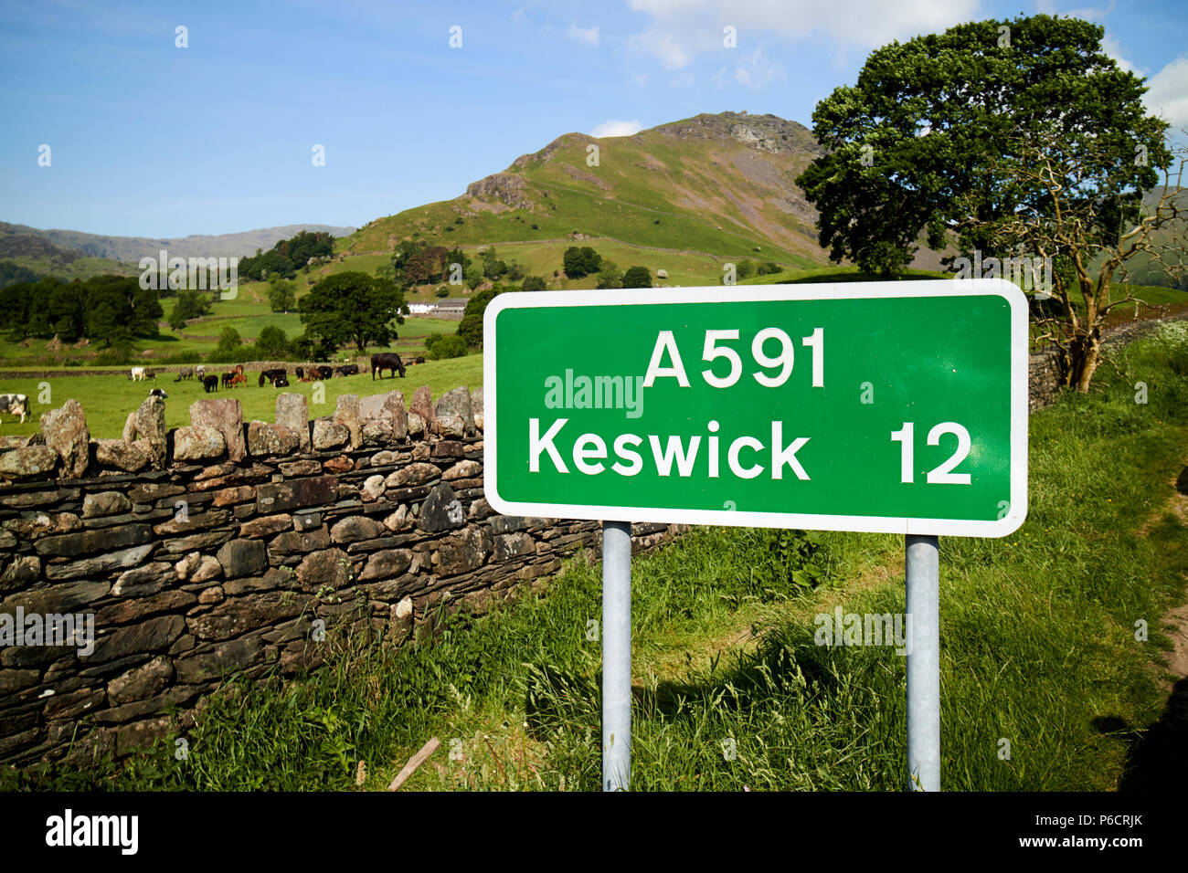 roadsign for the a591 with distance to keswick in front of fields and hills near grasmere in the lake district cumbria england uk Stock Photo