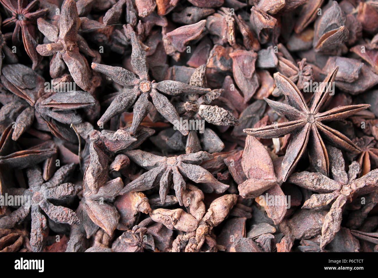 Star of Anise Stock Photo Alamy