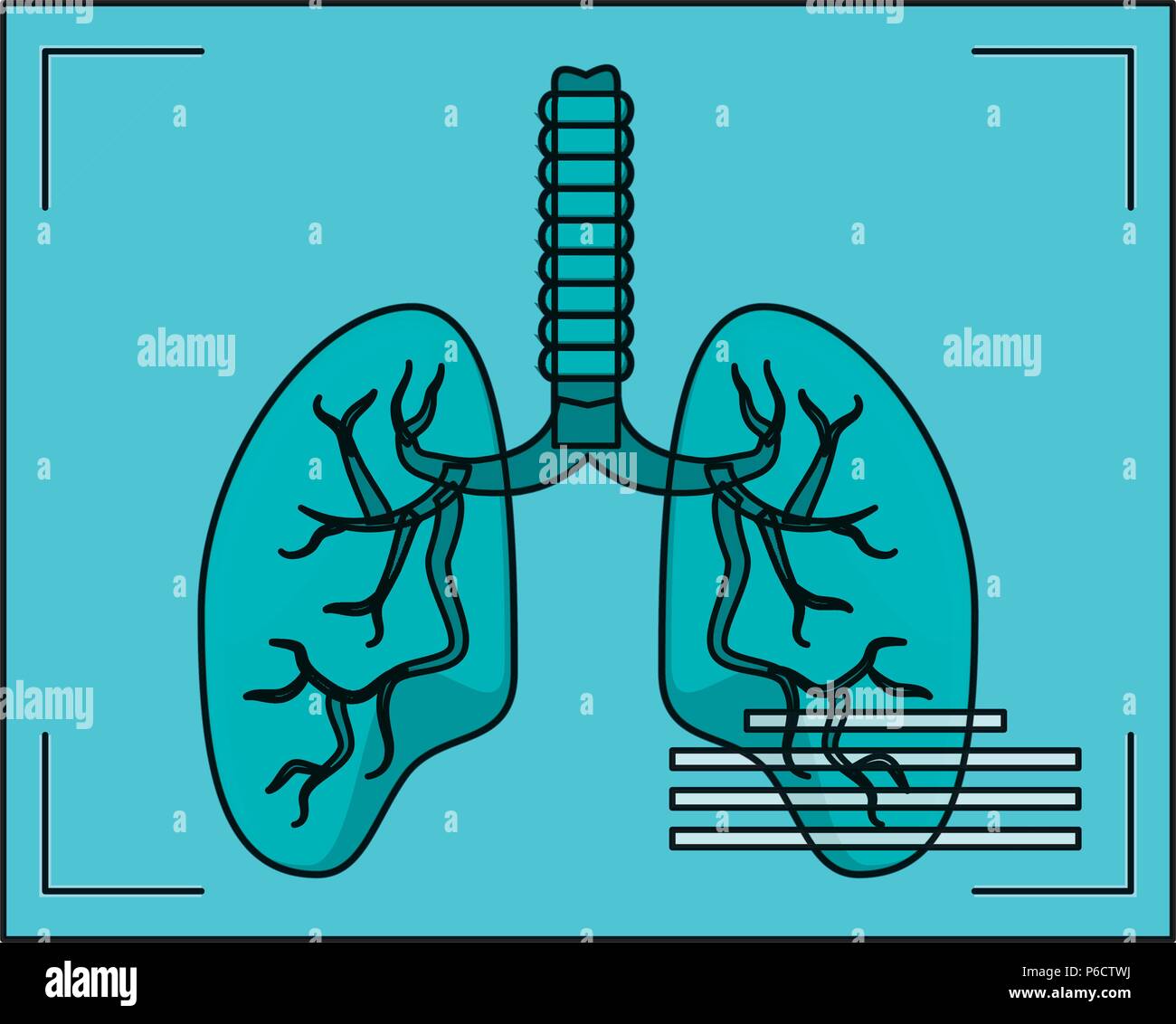 Lungs xray icon over white background, vector illustration Stock Vector ...