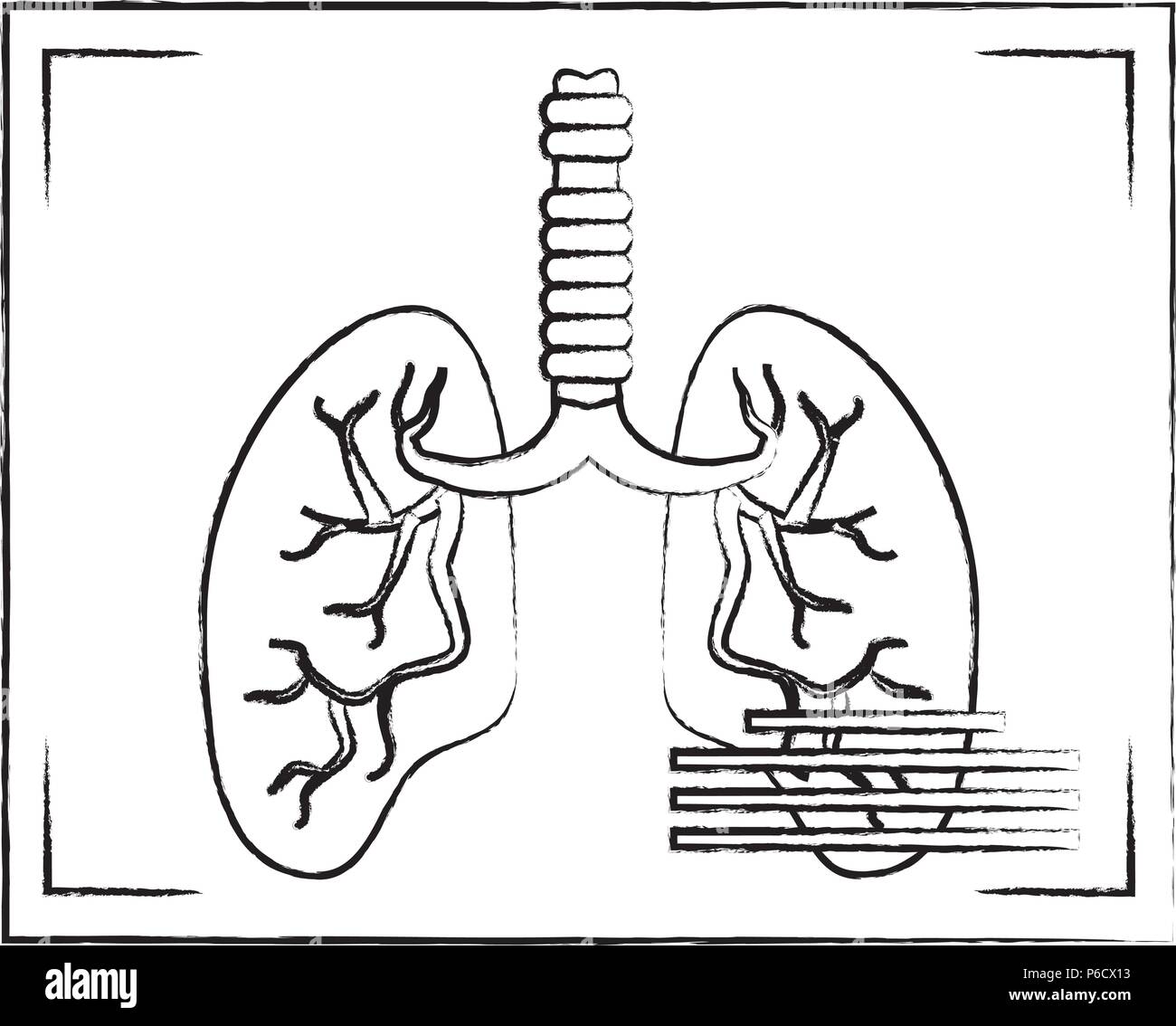 Lungs xray icon over white background, vector illustration Stock Vector ...