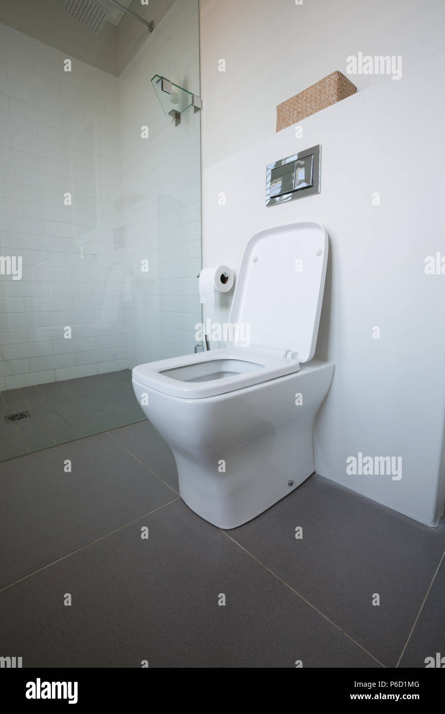 Interior of toilet at home Stock Photo Alamy