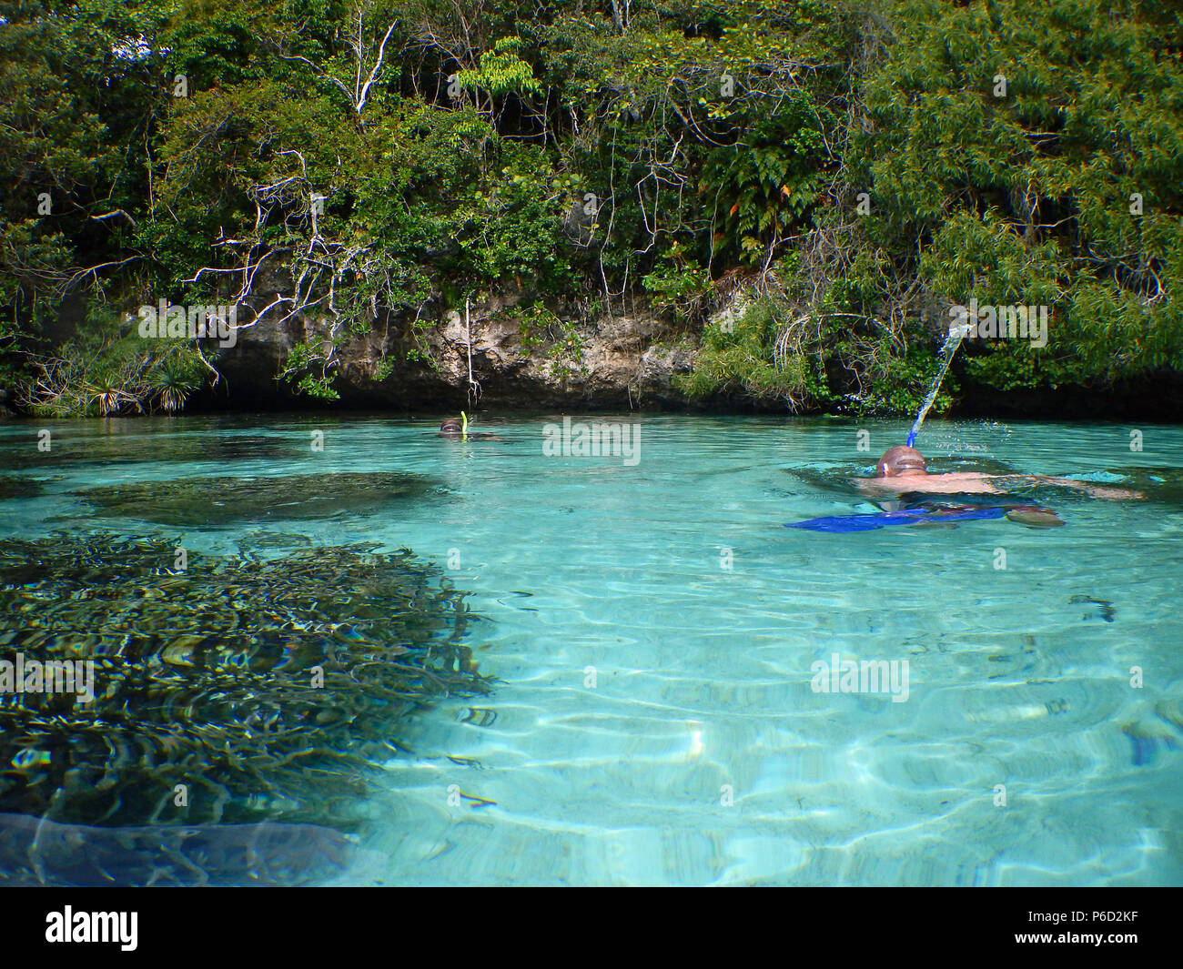 Snorkeling paradise hires stock photography and images Alamy