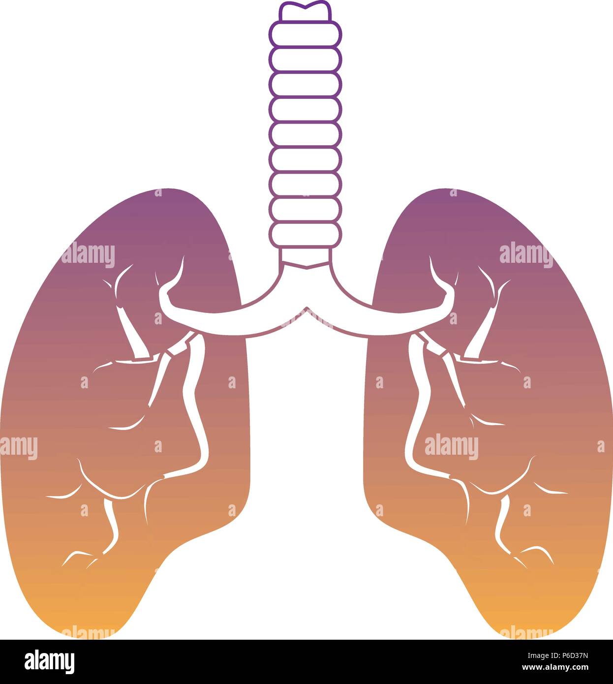 human lungs icon over white background, vector illustration Stock ...