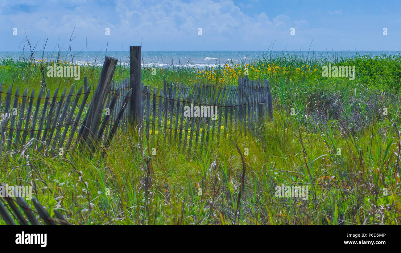 Fence post flowers hi-res stock photography and images - Alamy