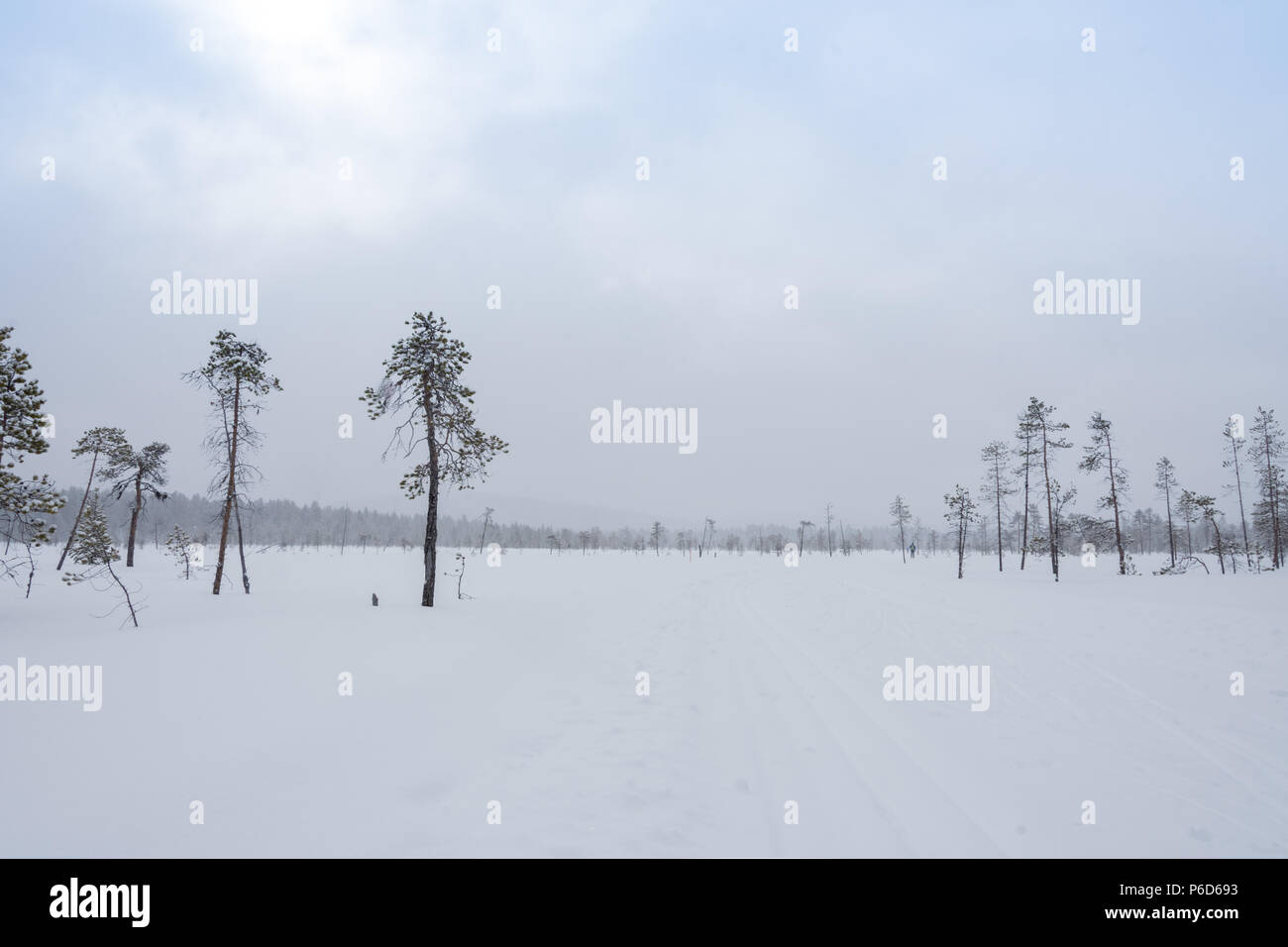 A skier in snowy landscape in Finland's Lapland Stock Photo