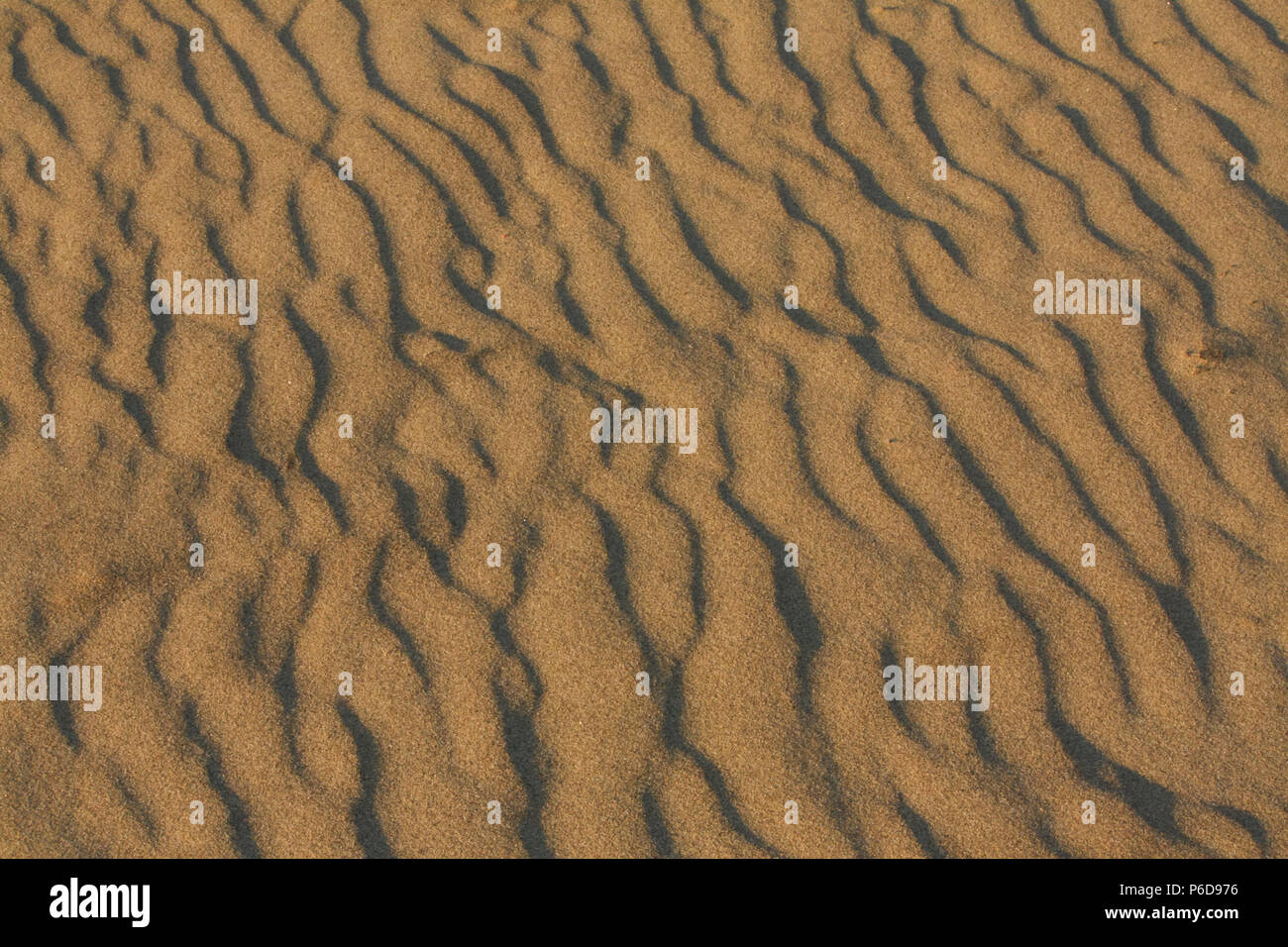 Real beach sand texture (late afternoon light Stock Photo - Alamy