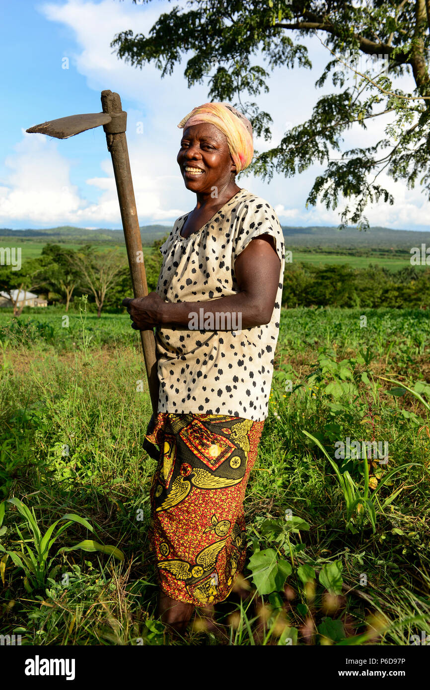 UGANDA, Kasese, woman weeds with hoe / Landwirtschaft, Frau hackt Feld mit Hacke Stock Photo