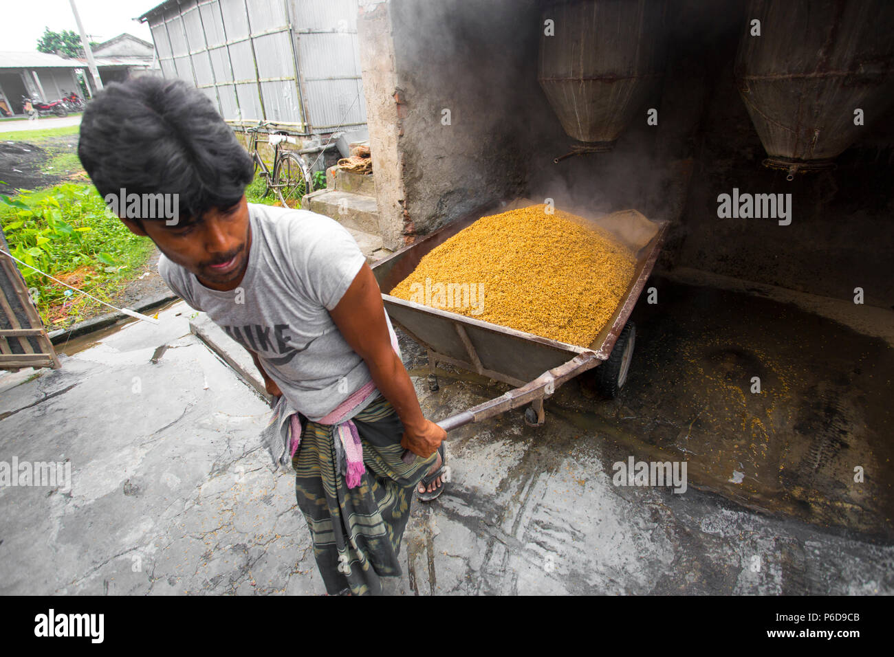 The processed rice is being brought out at Ishwardi Upazila, Pabna District in Rajshahi Division, Bangladesh. Stock Photo