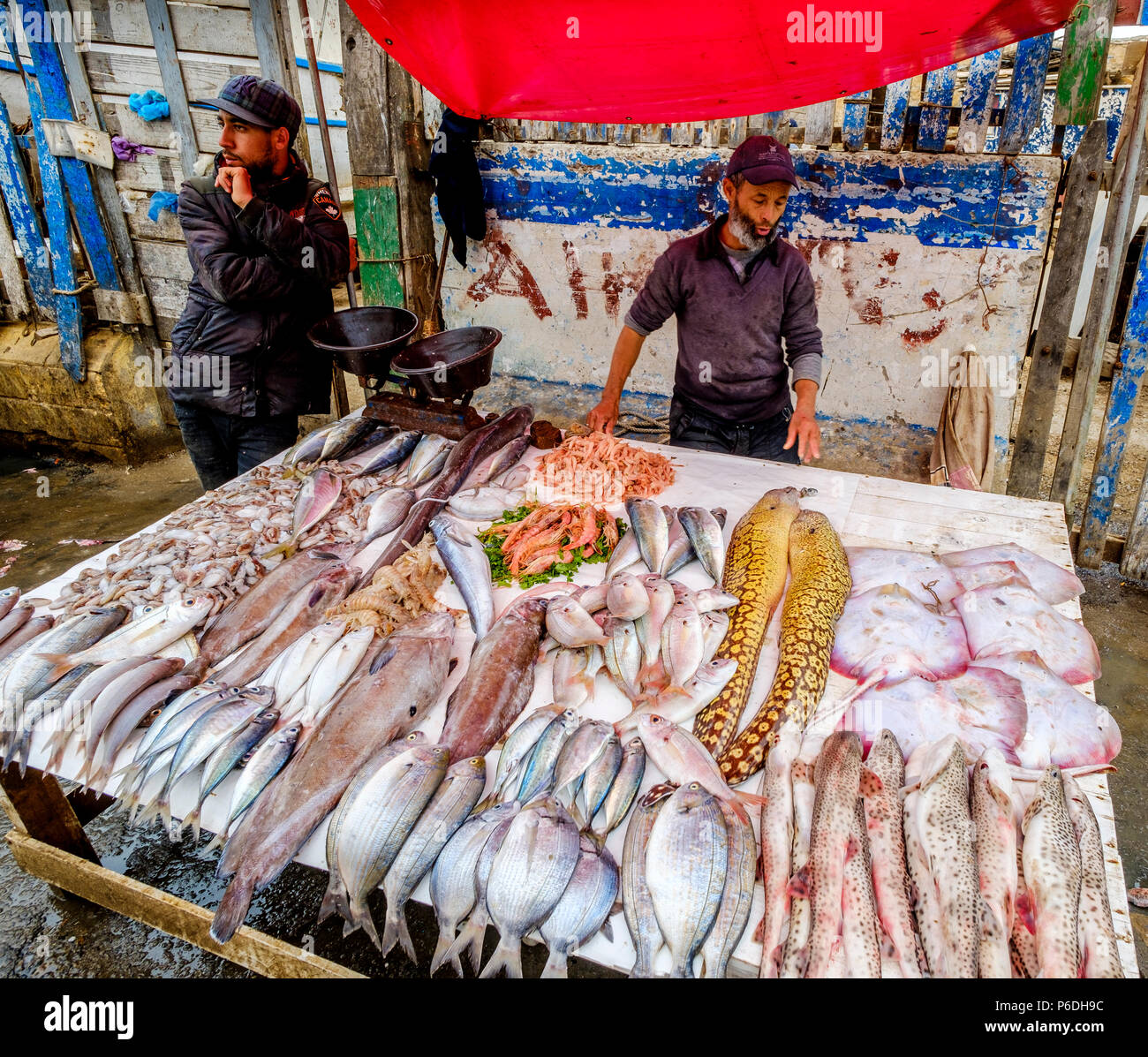 Essaouira fish market hires stock photography and images Alamy
