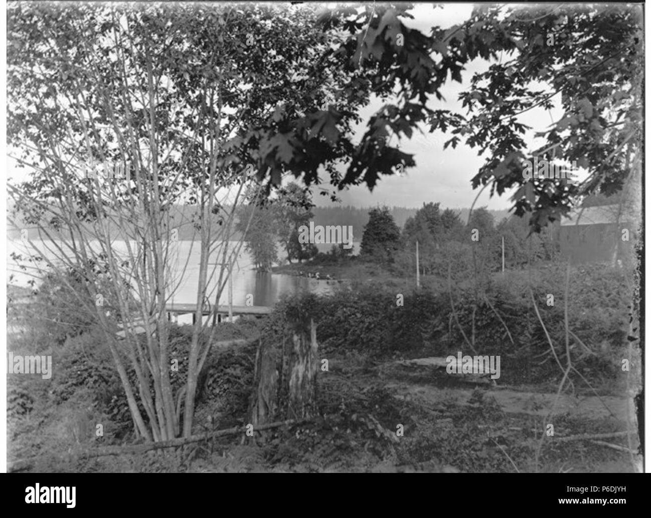 English Lake Washington Shoreline Near Bryn Mawr May 30 1904