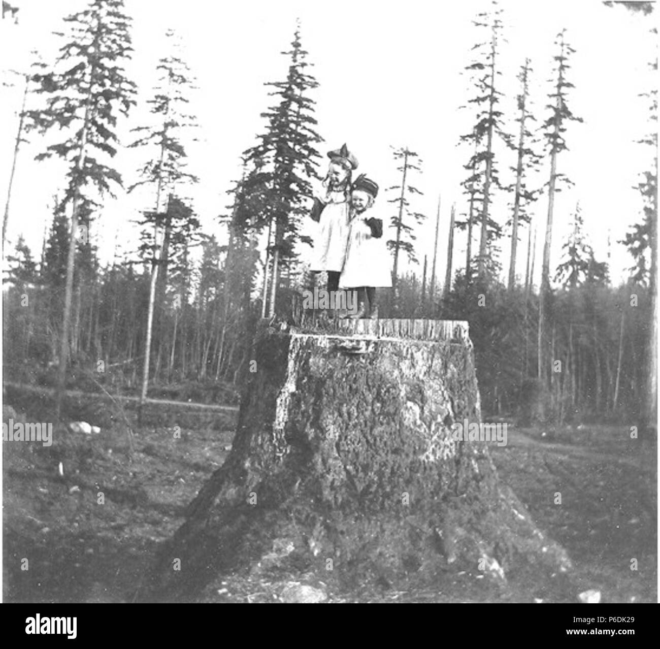 English Laura And Miriam Kiehl Standing On A Stump At Fort Lawton