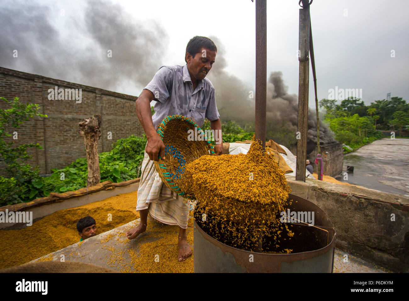 The rice is being poured into the machine for boiling at Ishwardi Upazila, Pabna District in Rajshahi Division, Bangladesh. Stock Photo