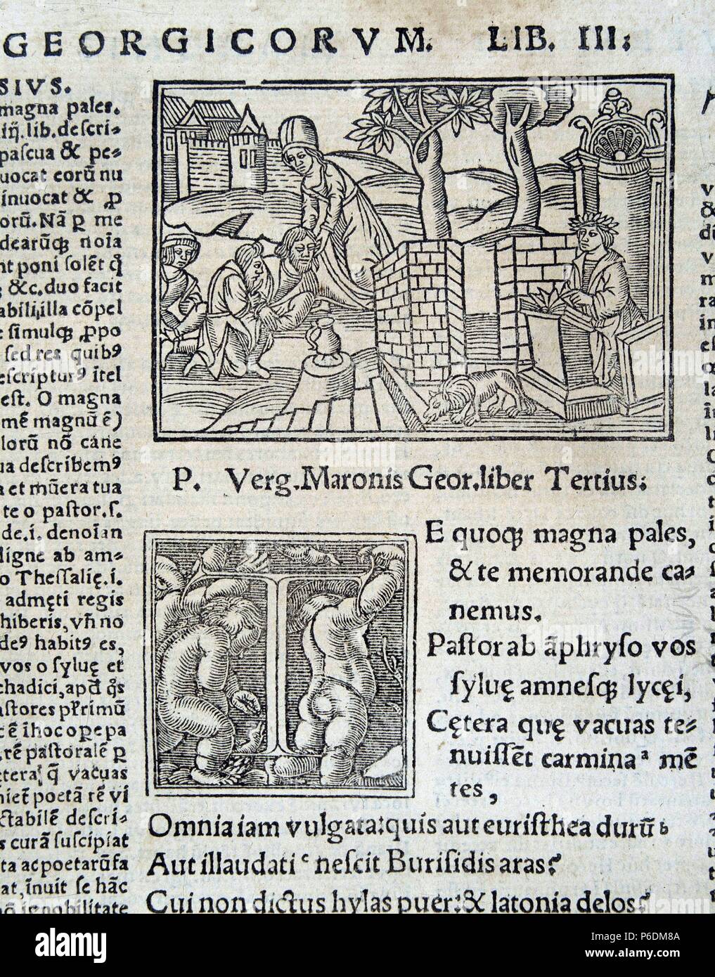 VIRGILIO. PUBLIO VIRGILIO MARON. POETA LATINO. 70 - 19 A. de C. ILUSTRACION DE ' LAS GEORGICAS ' , EDICION DEL AÑO 1529. BIBLIOTECA NACIONAL. MADRID. Stock Photo