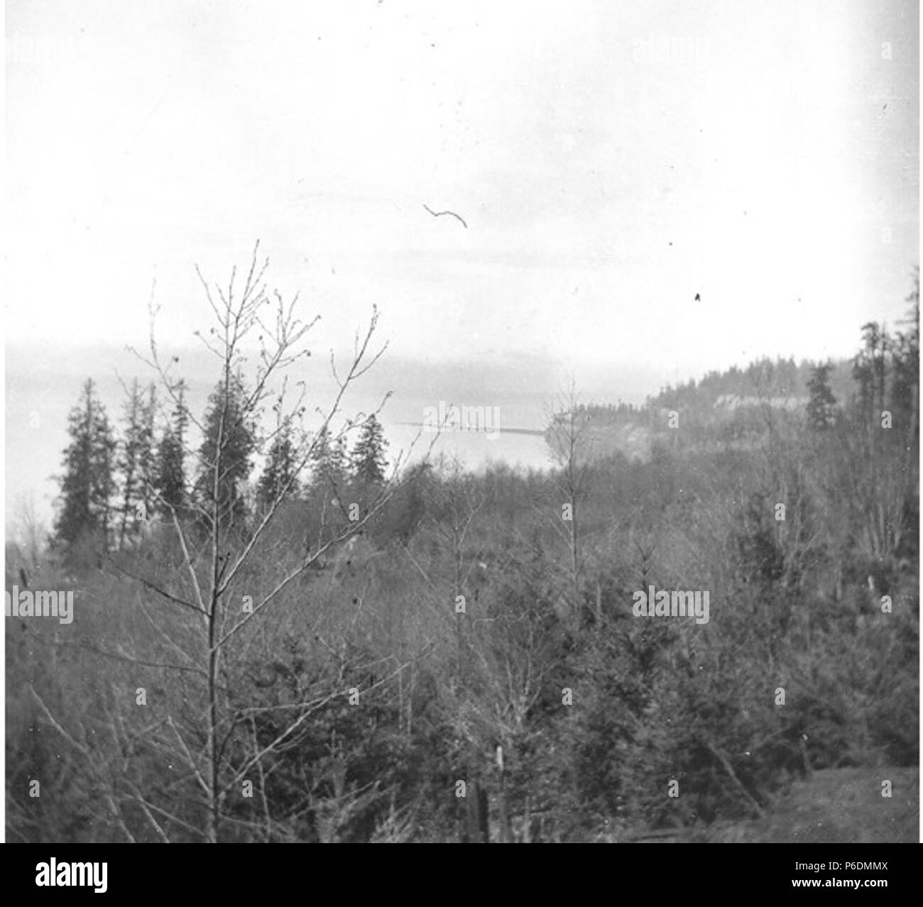 . English: Overlooking West Point Beach, Fort Lawton, Washington, March 5, 1899 . English: Text from Kiehl log: West Point from Sisters. March 5, 1899 . Album 2.199 Subjects (LCSH): West Point (King County, Wash.); Fort Lawton (Seattle, Wash.); Beaches--Washington (State)--Seattle; Military bases--Washington (State)--Seattle  . 1899 66 Overlooking West Point Beach, Fort Lawton, Washington, March 5, 1899 (KIEHL 173) Stock Photo