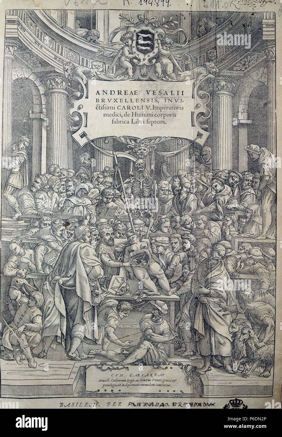 VESALIO , ANDRES. ANATOMISTA FLAMENCO. 1514 - 1564. PORTADA DE ' DE HUMANIS CORPORIS FABRICA '. LECCION DE ANATOMIA. BASILEA 1555. UNIVERSIDAD COMPLUTENSE. MADRID. Stock Photo
