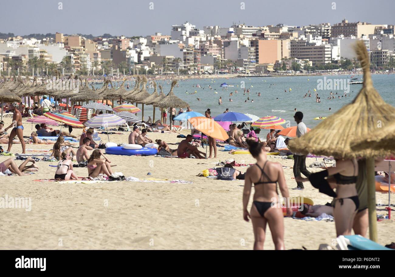 Mallorca: reviews of tourists about the rest. Hotels and beaches of Mallorca, attractions, excursions 65 Mallorca: reviews of tourists about the rest. Hotels and beaches of Mallorca, attractions, excursions 6