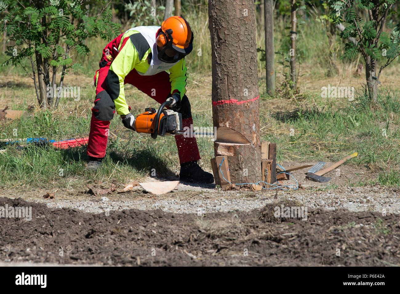 Seesen, Germany. 30th June, 2018. Michael Wohlers, starter in the Chainsaw Cup, completes the discipline 'Mastenfaellen' (lit. mast felling). Arround 55 participants are competing for the title of 'Niedersaechsischer Waldarbeitsmeister' (lit. Lower Saxony Forestry Champion). Credit: Swen Pförtner/dpa/Alamy Live News Stock Photo