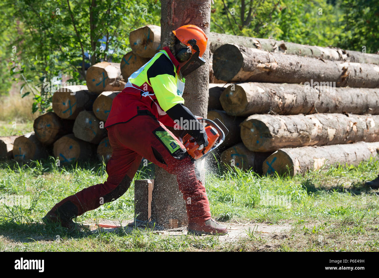 Seesen, Germany. 30th June, 2018. Ida Klaus, starter in the Chainsaw Cup, completes the discipline 'Mastenfaellen' (lit. mast felling). Arround 55 participants are competing for the title of 'Niedersaechsischer Waldarbeitsmeister' (lit. Lower Saxony Forestry Champion). Credit: Swen Pförtner/dpa/Alamy Live News Stock Photo