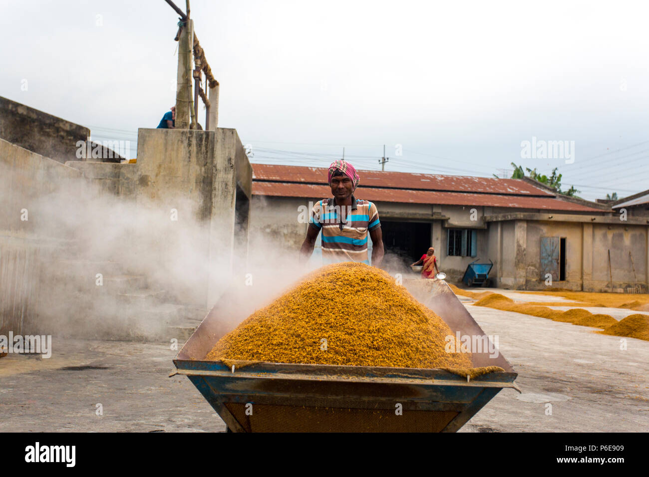 Process Esd Rice Images The processed rice is being brought out at Ishwardi Upazila, Pabna ...