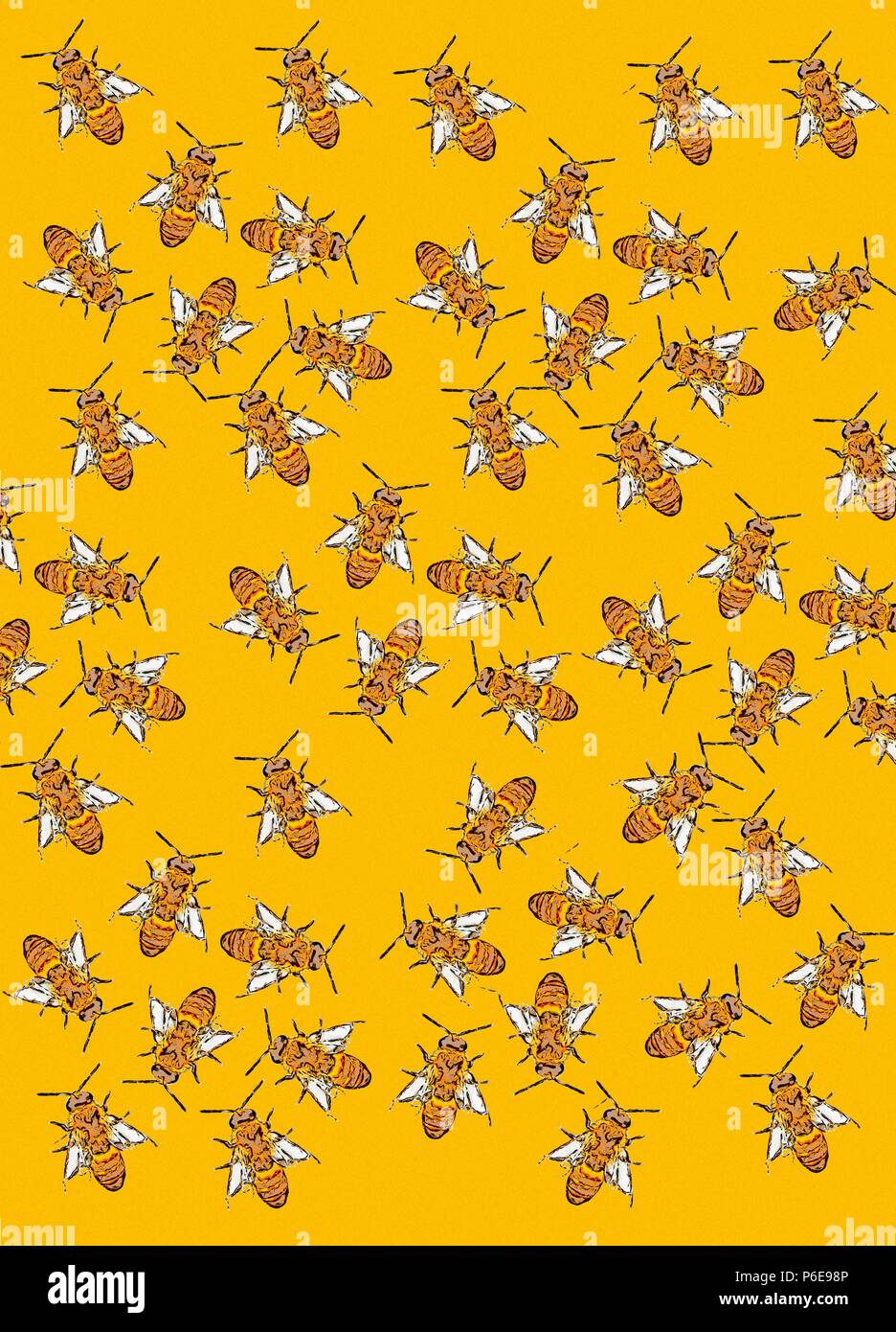 Honey bees, conceptual illustration. Stock Photo