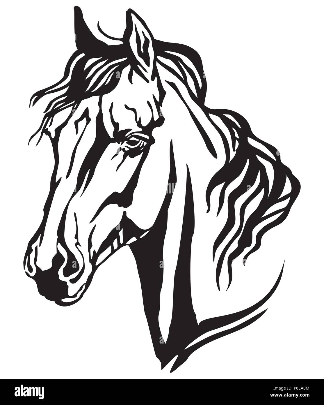 Decorative portrait in profile of Arabian horse, vector isolated illustration in black color on white background. Image for design and tattoo. Stock Vector