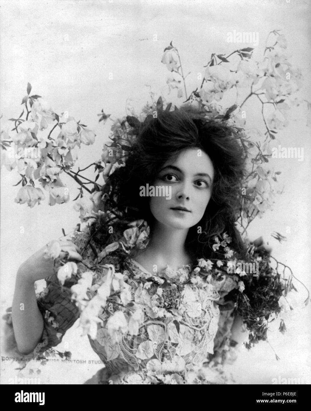 TITLE Miss Doro, no. 2. (Marie Doro) CALL NUMBER LOT 3293 [item] [P&P] REPRODUCTION NUMBER LC-USZ62-74492 (b&w film copy neg.) RIGHTS INFORMATION No known restrictions on publication. SUMMARY Young woman, half lgth., with flowered branches on shoulders, back, and above head. MEDIUM 1 photographic print. CREATED/PUBLISHED c1902. NOTES Photo copyrighted by Burr McIntosh Studio. This record contains unverified, old data from caption card. Caption card tracings: Flowers; BI; Shelf. REPOSITORY Library of Congress Prints and Photographs Division Washington, D.C. 20540 USA DIGITAL ID (b&w film copy n Stock Photo
