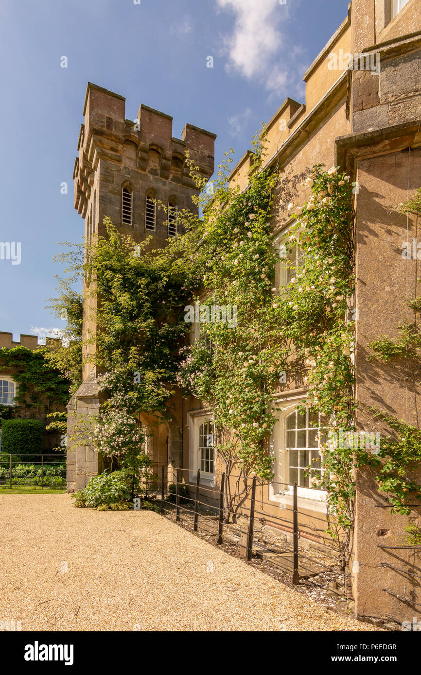 Knepp castle estate hires stock photography and images Alamy