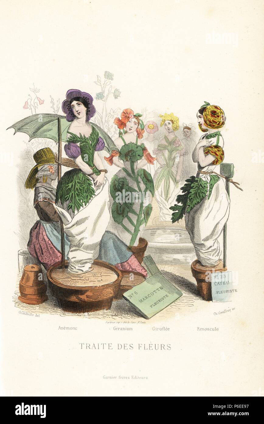 Flower fairies being sold at a market likes slaves. Anemone, geranium, wallflower, and Persian buttercup fairies tied to rods with their feet in pots. Handcoloured steel engraving by C. Geoffrois after an illustration by Jean Ignace Isidore Grandville from 'Les Fleurs Animees,' Paris, Gabriel de Gonet, 1847. Stock Photo