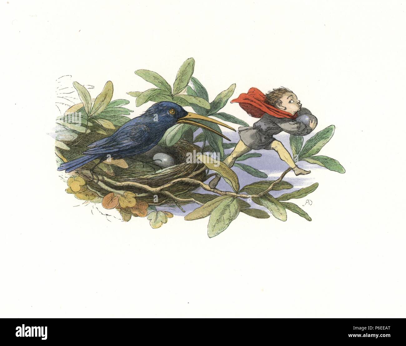 Elf stealing eggs from a bird's nest. Handcoloured woodblock print by Edmund Evans after an illustration by Richard Doyle from In Fairyland, a series of Pictures from the Elf World, Longman, London, 1870. Stock Photo