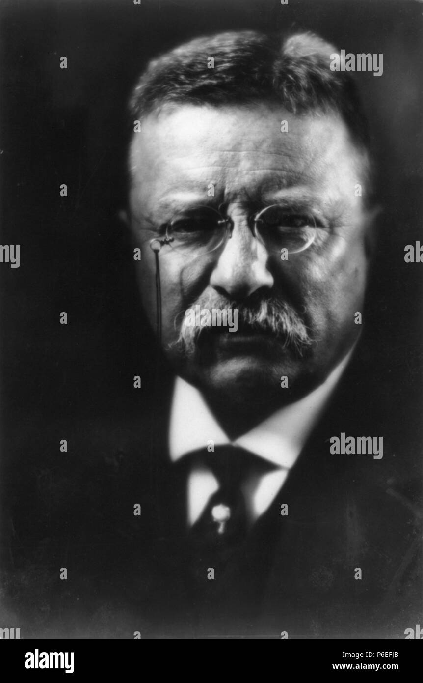 English: Theodore Roosevelt, U.S. President . April 1915 77 Theodore Roosevelt by Pirie MacDonald cph.3a14467 Stock Photo