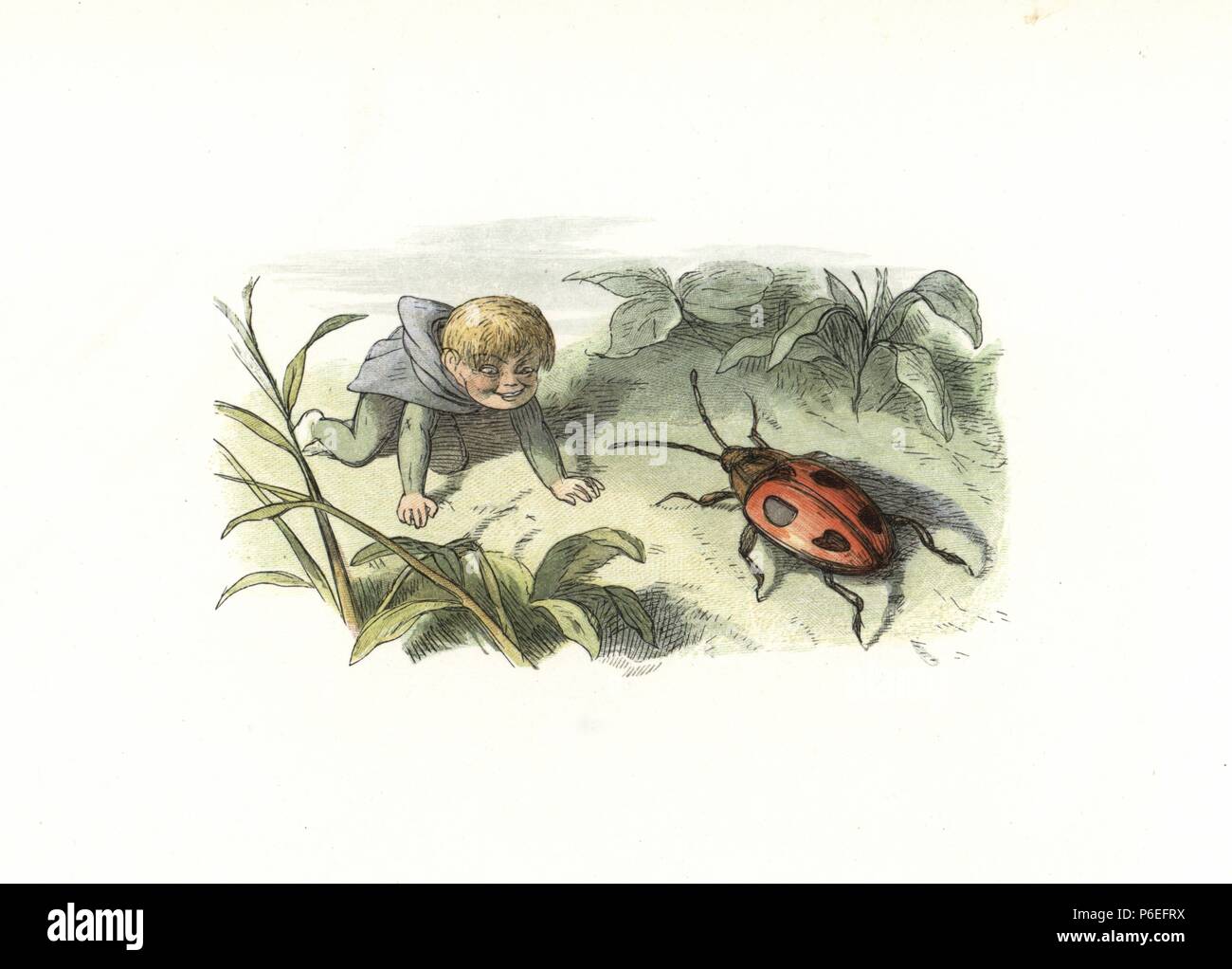 An elf surprising a beetle. Handcoloured woodblock print by Edmund Evans after an illustration by Richard Doyle from In Fairyland, a series of Pictures from the Elf World, Longman, London, 1870. Stock Photo