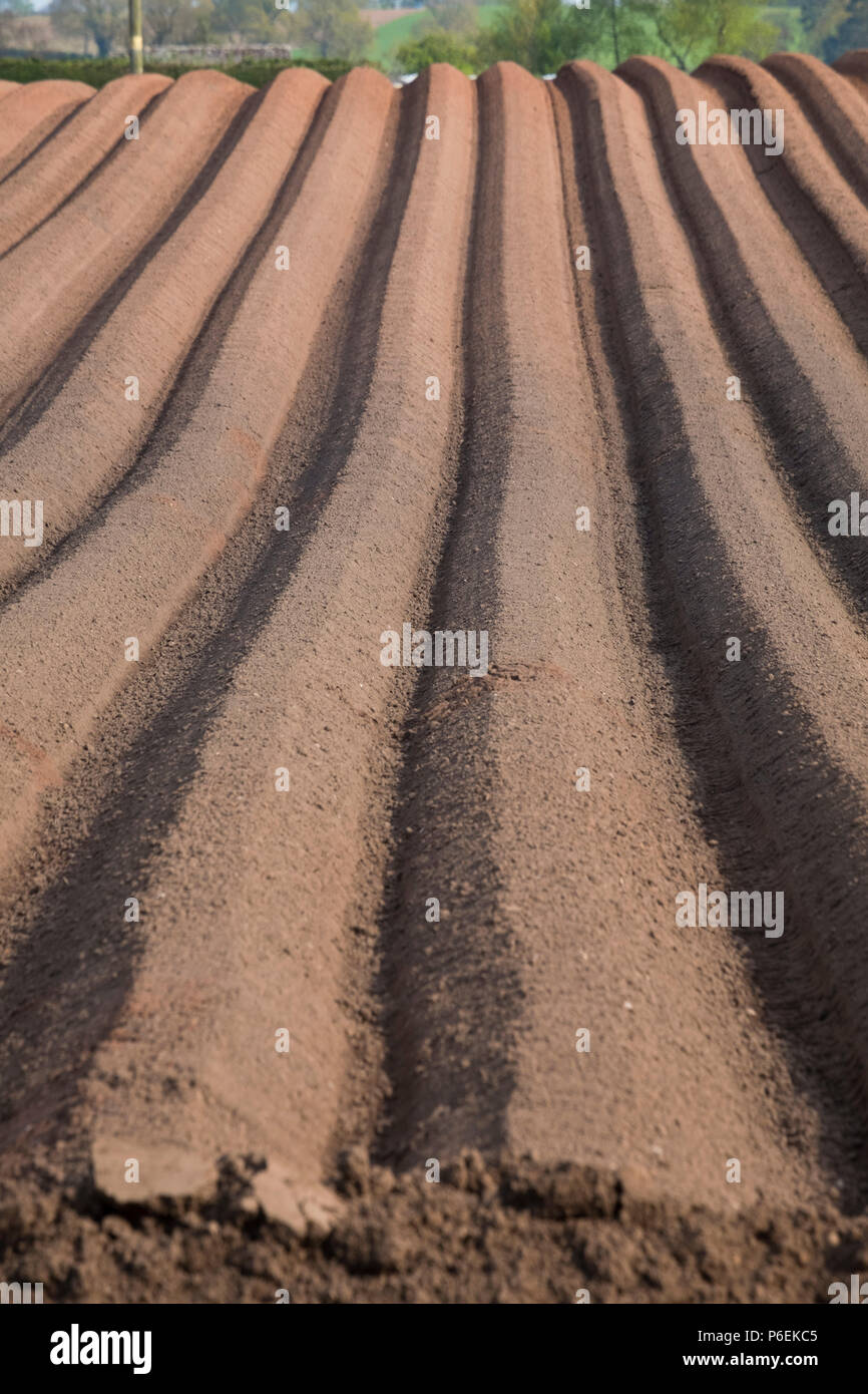 Furrows on a ploughed field at Worfield, Shropshire, England, UK Stock Photo