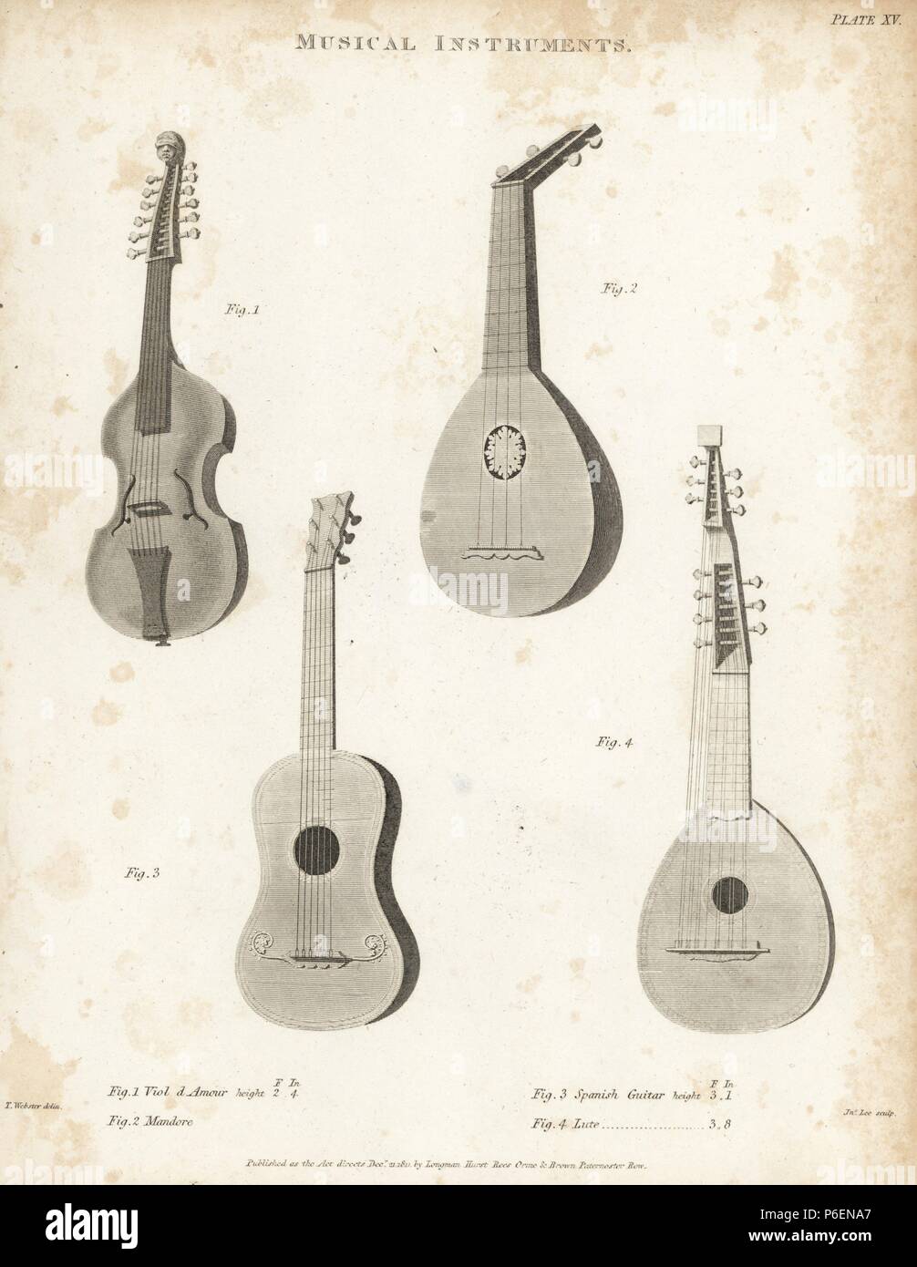 Drawing the lute hires stock photography and images Alamy