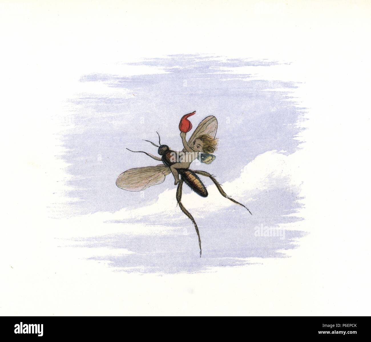 An elf flying away on an insect. Handcoloured woodblock print by Edmund Evans after an illustration by Richard Doyle from In Fairyland, a series of Pictures from the Elf World, Longman, London, 1870. Stock Photo
