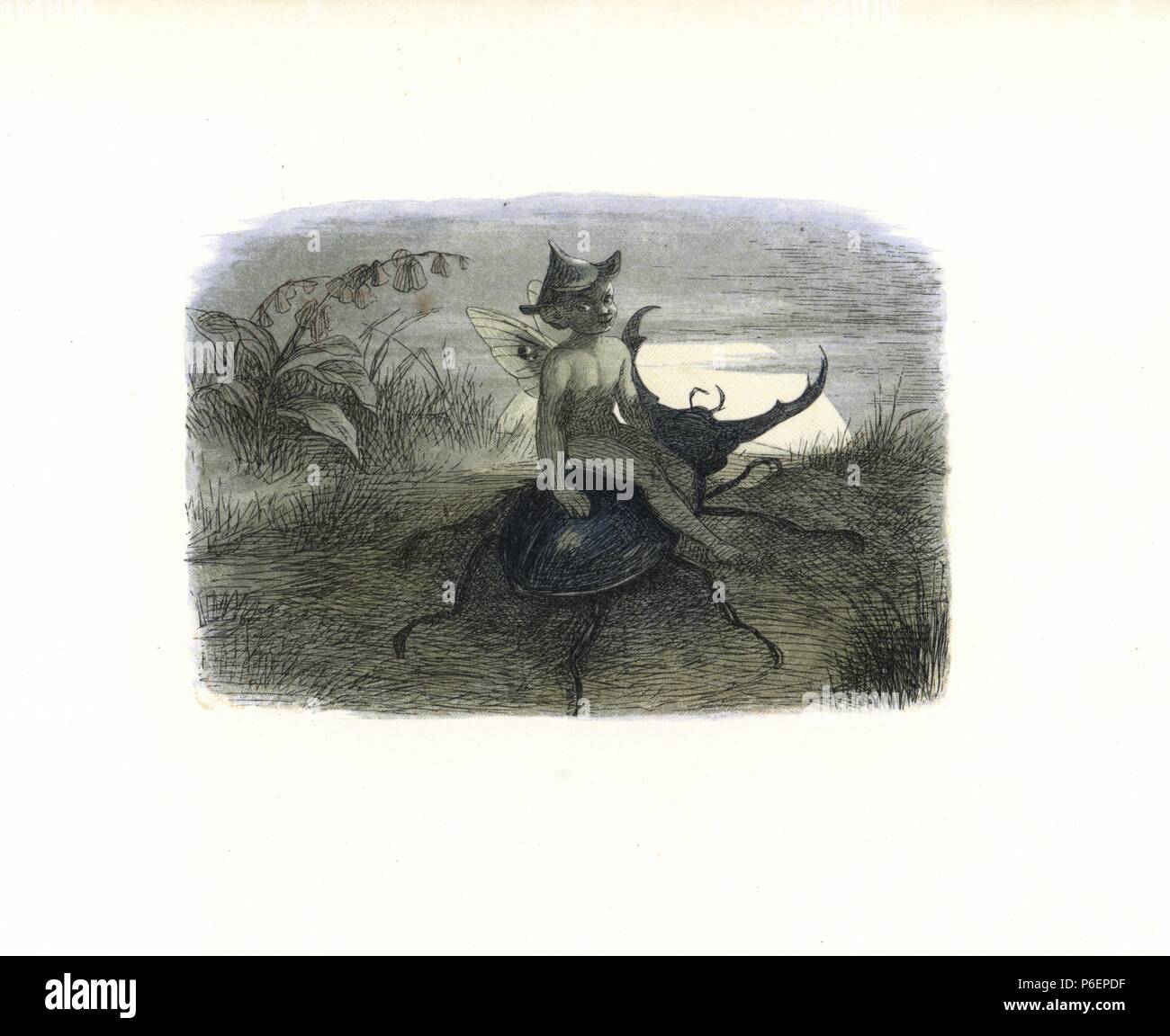 The fairy queen's messenger riding on a stag beetle. Handcoloured woodblock print by Edmund Evans after an illustration by Richard Doyle from In Fairyland, a series of Pictures from the Elf World, Longman, London, 1870. Stock Photo