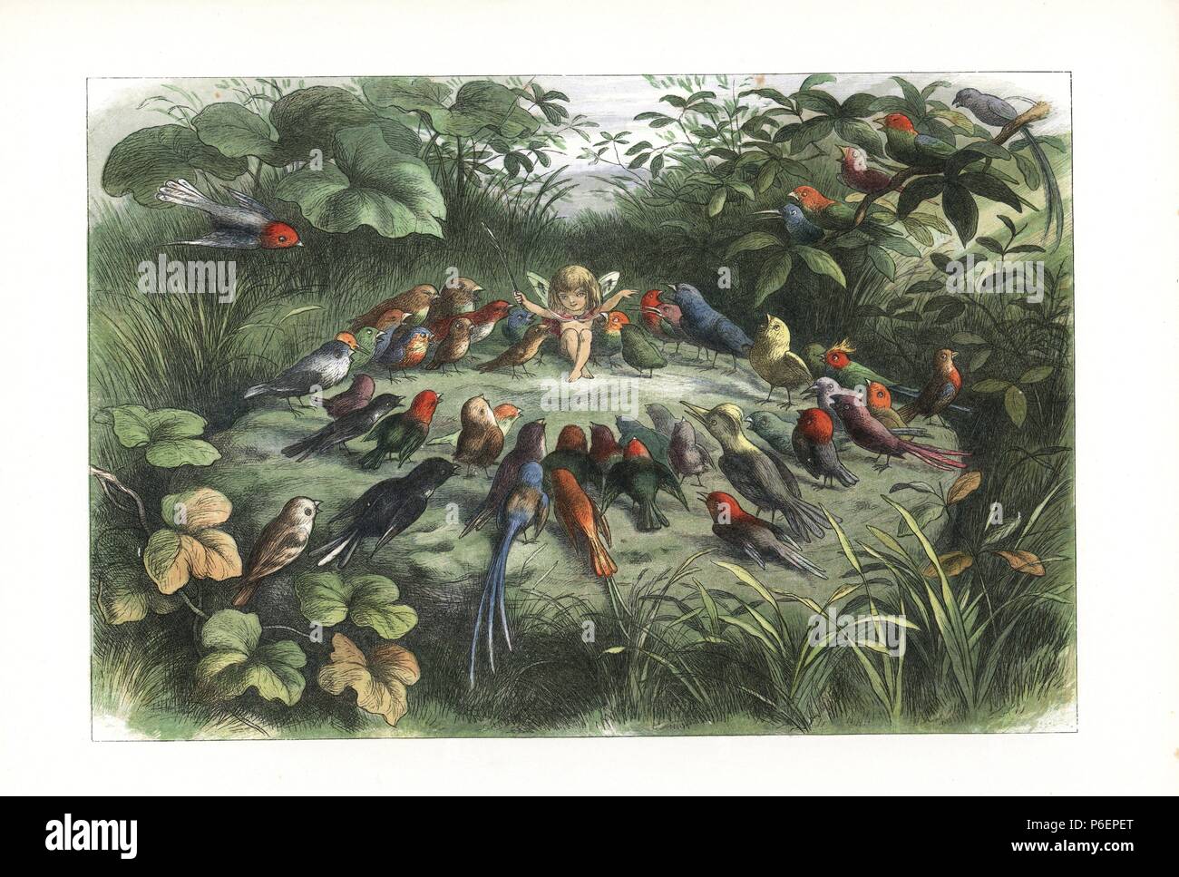 An elf teaching a choir of birds to sing. Handcoloured woodblock print by Edmund Evans after an illustration by Richard Doyle from In Fairyland, a series of Pictures from the Elf World, Longman, London, 1870. Stock Photo