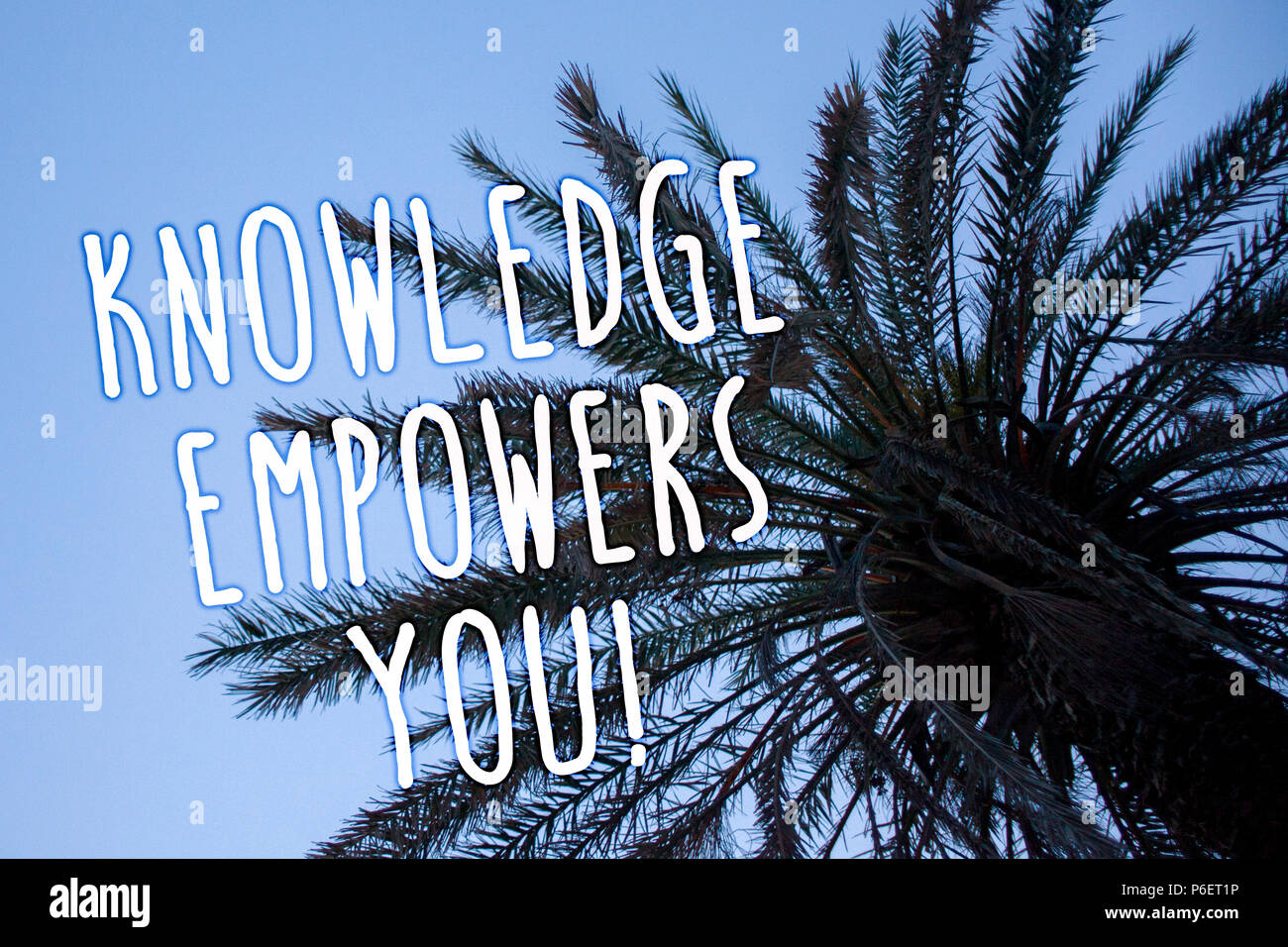 Handwriting Text Knowledge Empowers You Call Concept Meaning Education Responsible To Achieve Your Success Tall Palm Tree Blue Sky Ideas Messages Tho Stock Photo Alamy