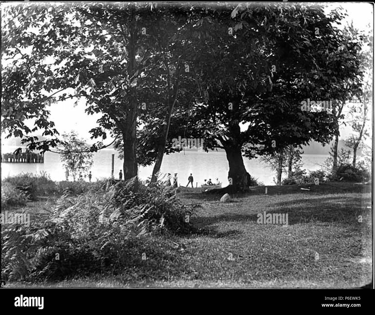 English Bryn Mawr At The Southern End Of Lake Washington On