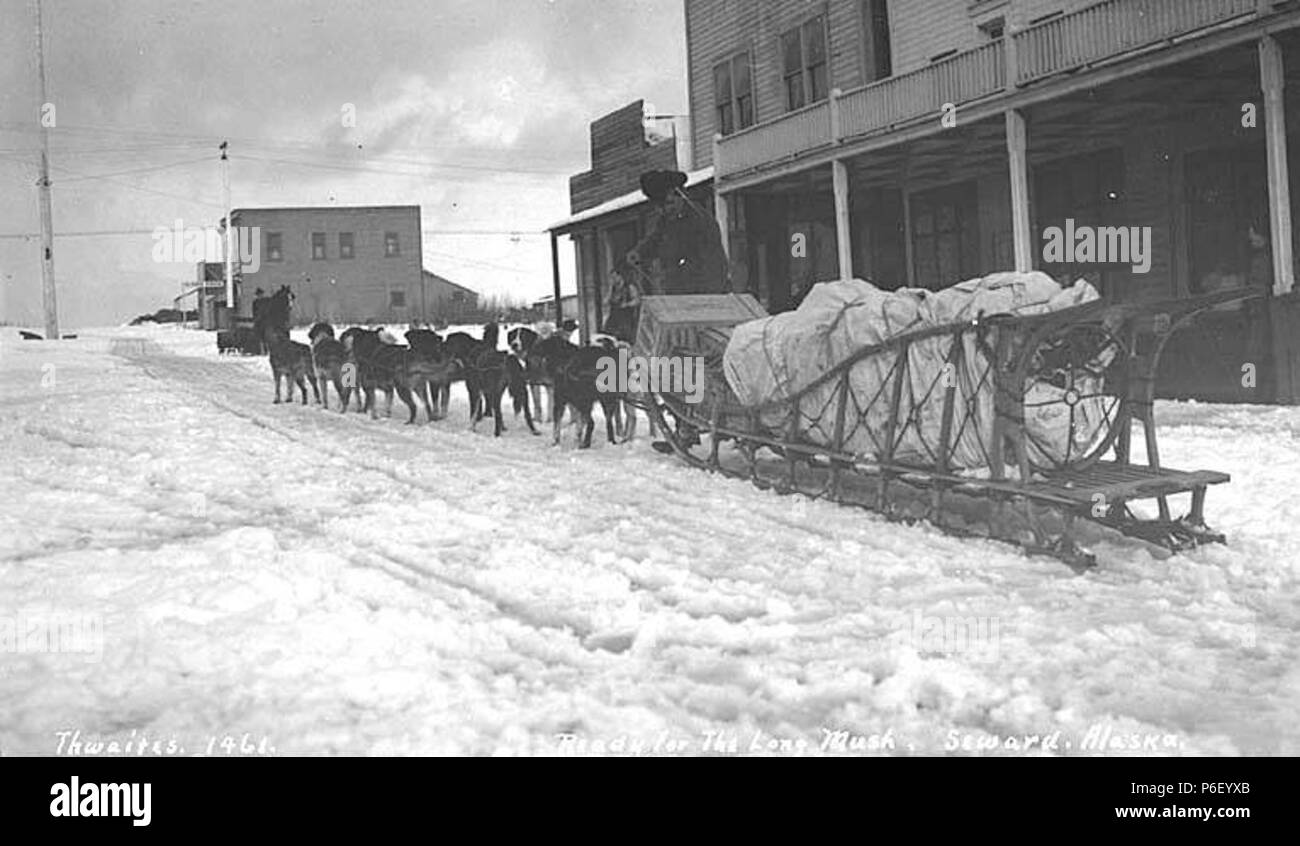 . English Dog sled team and driver, with cargo, Seward, ca. 1914