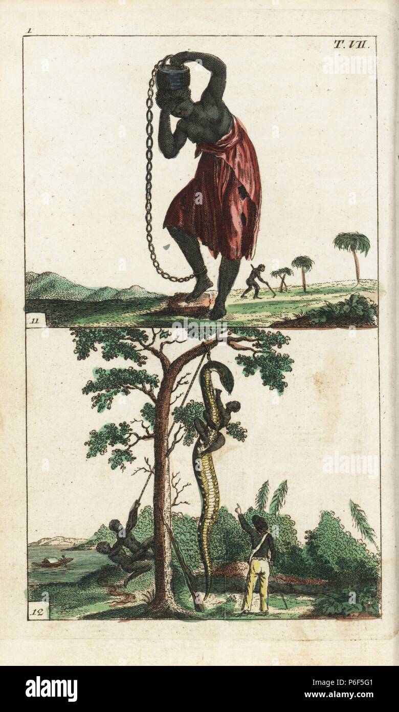 Punishments: African female slave chained to a 100lb weight, and more slaves gutting a huge snake on Surinam. Handcolored copperplate engraving from G. T. Wilhelm's 'Encyclopedia of Natural History: Mankind,' Augsburg, 1804. Gottlieb Tobias Wilhelm (1758-1811) was a Bavarian clergyman and naturalist known as the German Buffon. Stock Photo