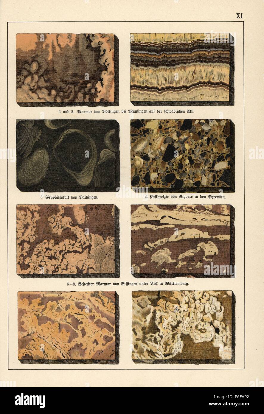 Marble varieties marble, limestone marble, limestone breccia, and