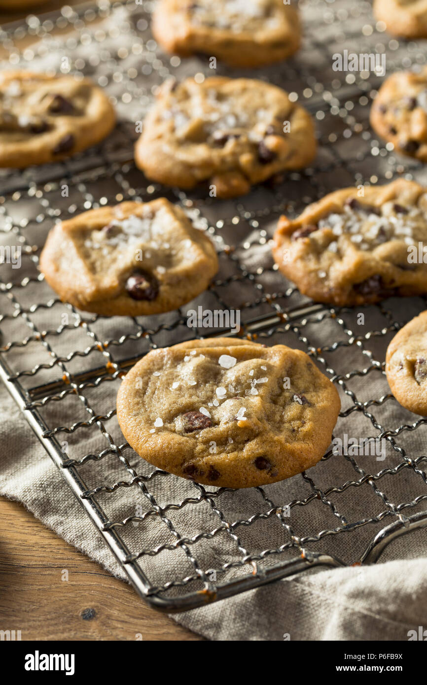 Homemade Sea Salt Chocolate Chip Cookies Ready to Eat Stock Photo Alamy