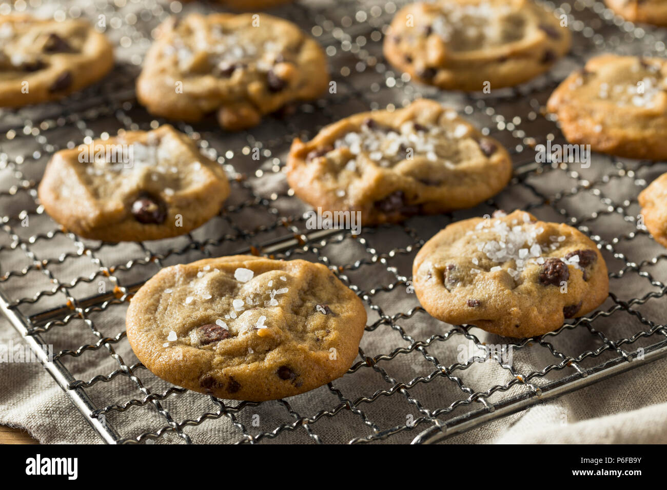 Homemade Sea Salt Chocolate Chip Cookies Ready to Eat Stock Photo Alamy