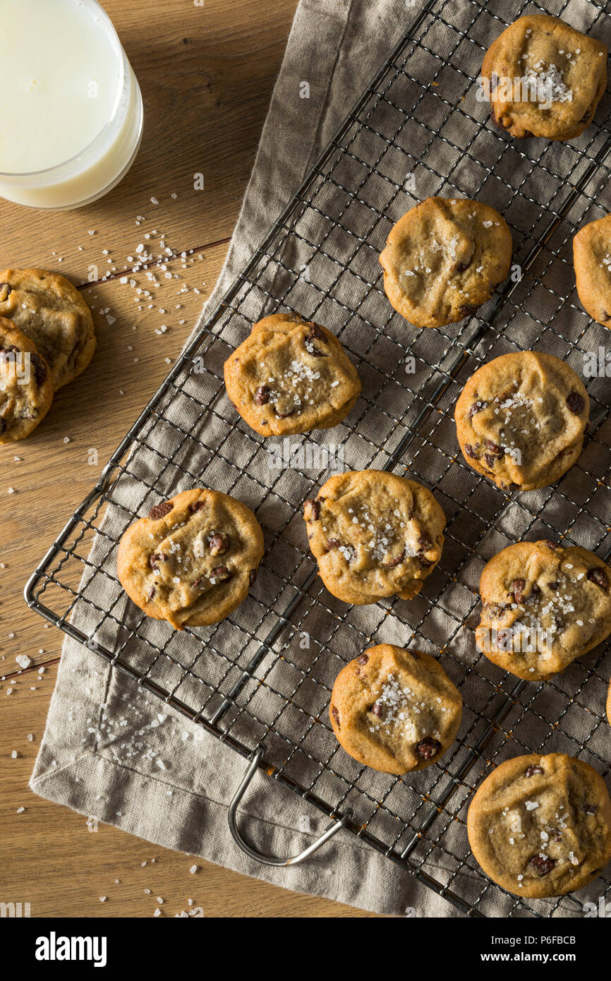 Homemade Sea Salt Chocolate Chip Cookies Ready to Eat Stock Photo Alamy