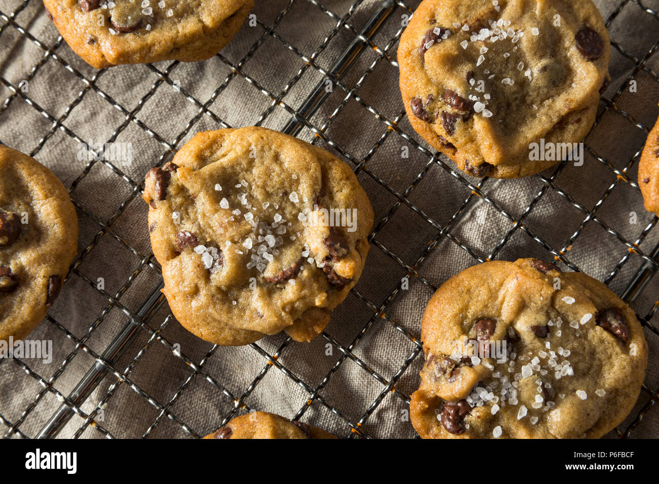 Homemade Sea Salt Chocolate Chip Cookies Ready to Eat Stock Photo Alamy