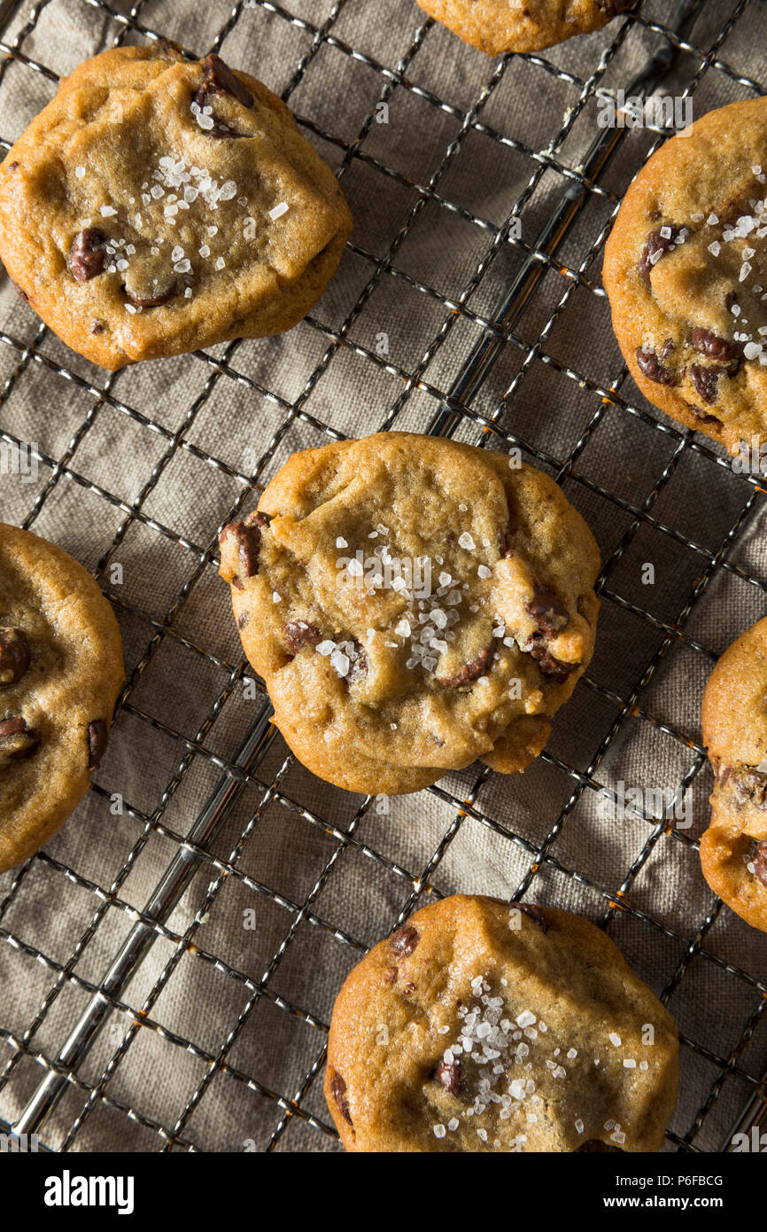 Homemade Sea Salt Chocolate Chip Cookies Ready to Eat Stock Photo Alamy